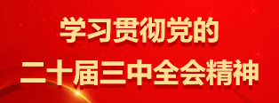 學習貫徹黨的二十屆三中全會精神