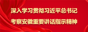 深入學習貫徹習近平總書記考察安徽重要講話指示精神