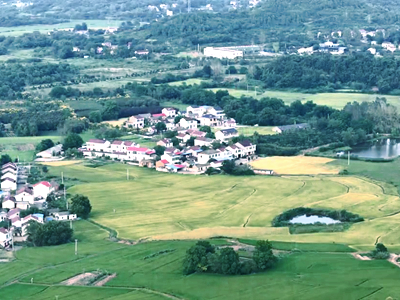 紅色茶鄉(xiāng) 詩意石塘